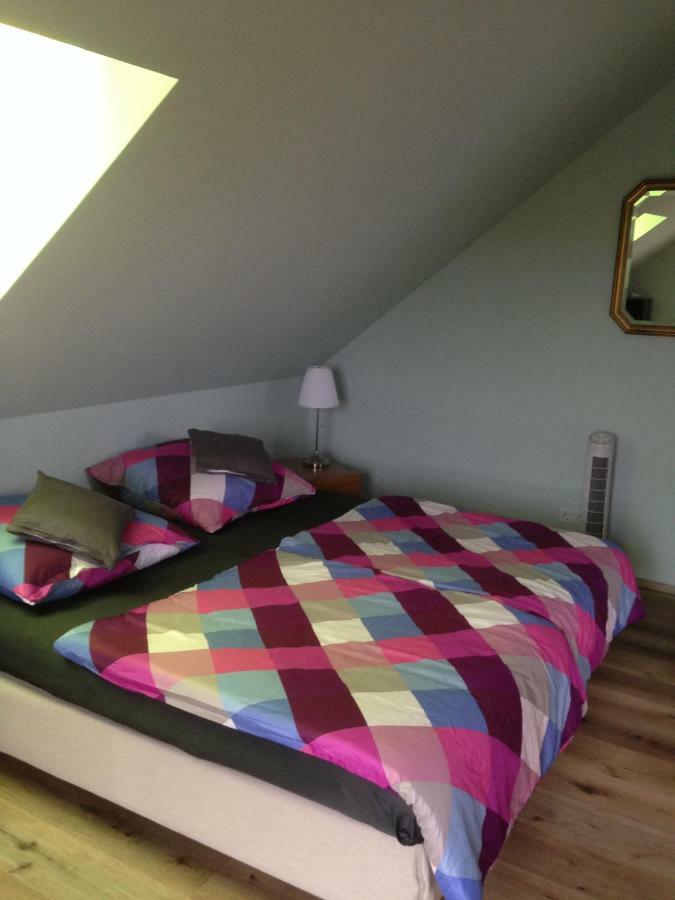 Bornich Loreley Bed And Breakfast المظهر الخارجي الصورة